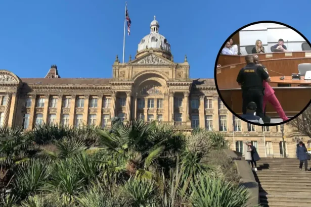 Police Evict Data Center Opponent at Birmingham Council Meeting, 2026