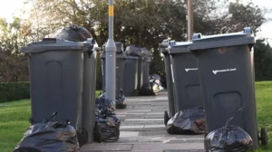 Birmingham Bin Rules Change With New Food Waste Collections