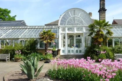Seasonal Things to Do in Birmingham Throughout the Entire Year